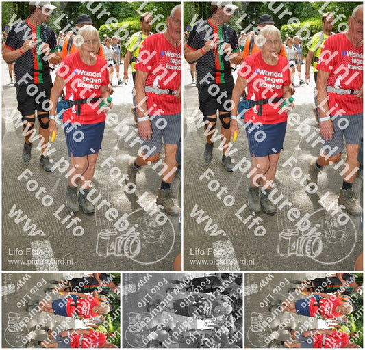Evenement foto: Nijmeegse Vierdaagse 965