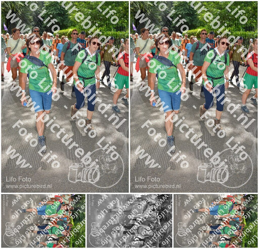 Evenement foto: Nijmeegse Vierdaagse 965