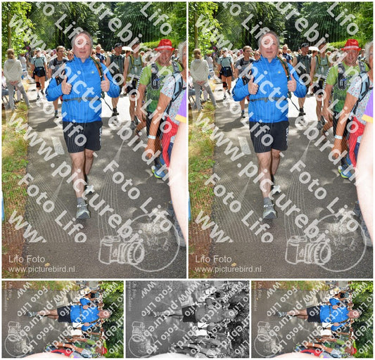 Evenement foto: Nijmeegse Vierdaagse 965