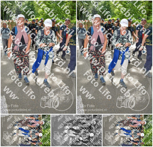 Evenement foto: Nijmeegse Vierdaagse 965