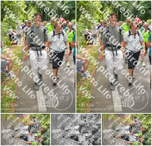 Evenement foto: Nijmeegse Vierdaagse 965