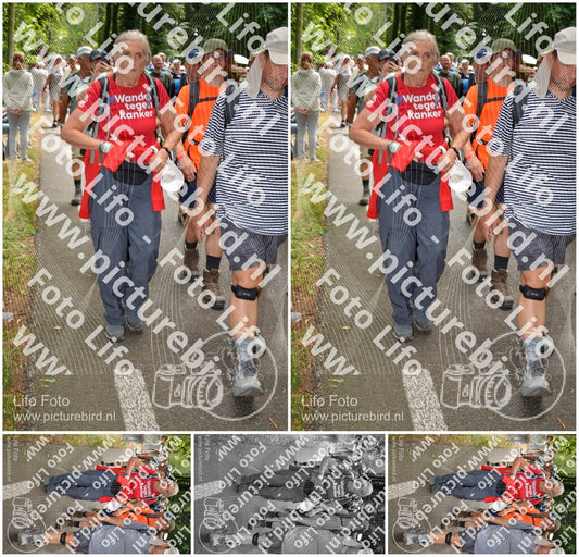Evenement foto: Nijmeegse Vierdaagse 965
