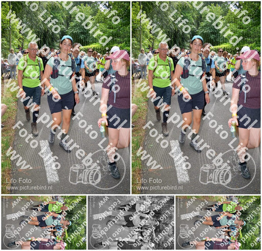 Evenement foto: Nijmeegse Vierdaagse 965