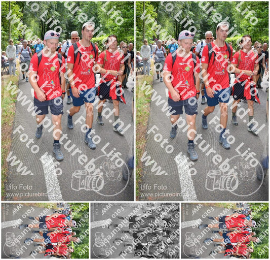 Evenement foto: Nijmeegse Vierdaagse 965