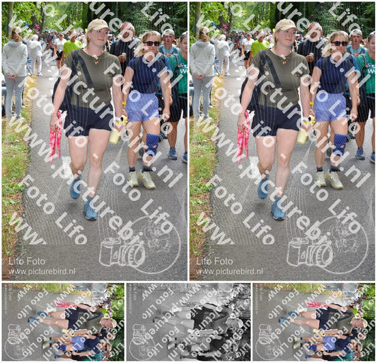 Evenement foto: Nijmeegse Vierdaagse 965