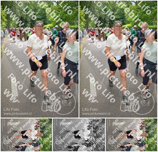 Evenement foto: Nijmeegse Vierdaagse 965
