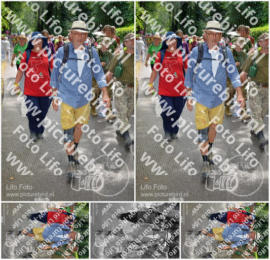Evenement foto: Nijmeegse Vierdaagse 965