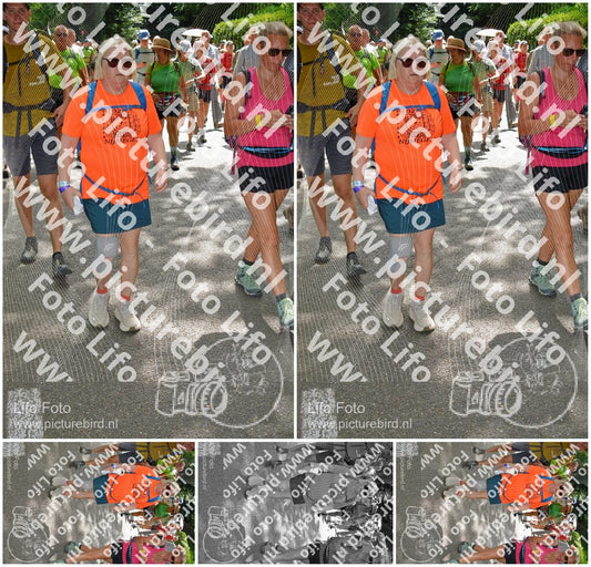 Evenement foto: Nijmeegse Vierdaagse 965
