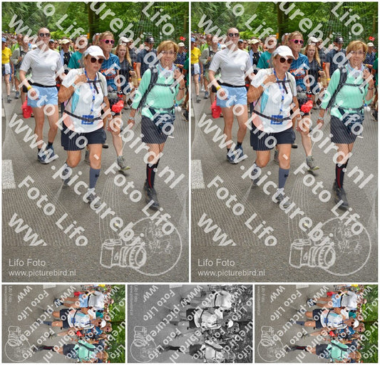 Evenement foto: Nijmeegse Vierdaagse 964