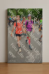 Evenement foto: Nijmeegse Vierdaagse 964