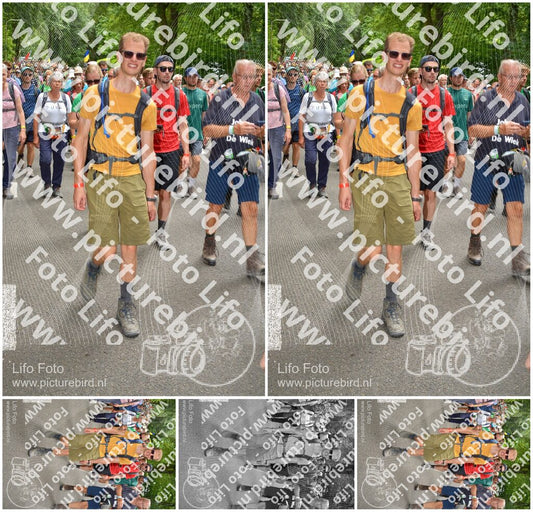 Evenement foto: Nijmeegse Vierdaagse 964