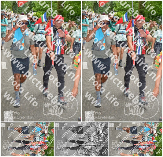 Evenement foto: Nijmeegse Vierdaagse 964