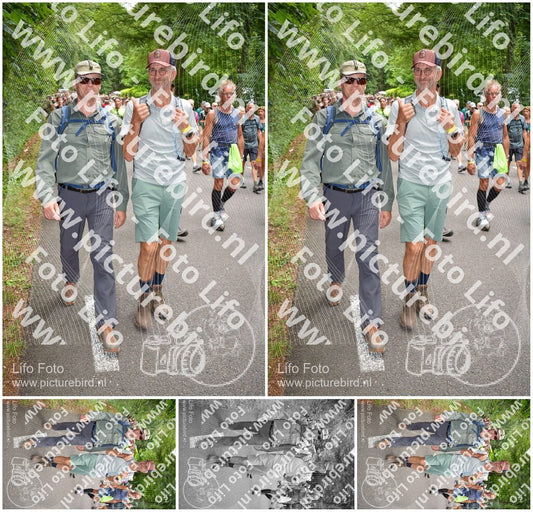 Evenement foto: Nijmeegse Vierdaagse 964