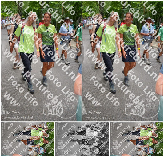 Evenement foto: Nijmeegse Vierdaagse 964
