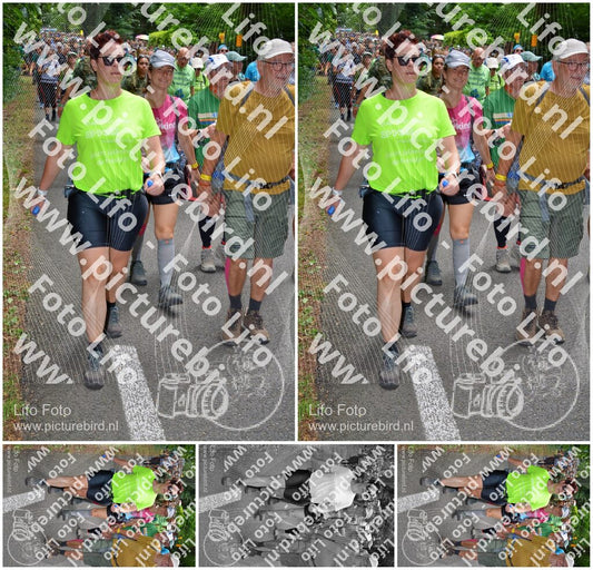 Evenement foto: Nijmeegse Vierdaagse 964