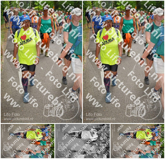 Evenement foto: Nijmeegse Vierdaagse 964