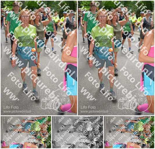 Evenement foto: Nijmeegse Vierdaagse 964