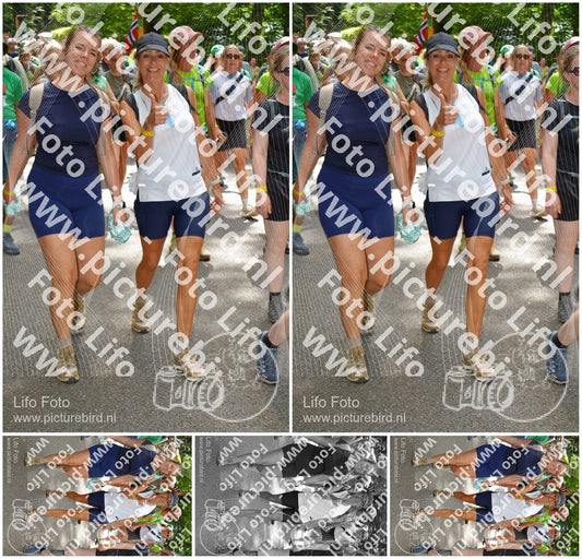 Evenement foto: Nijmeegse Vierdaagse 964
