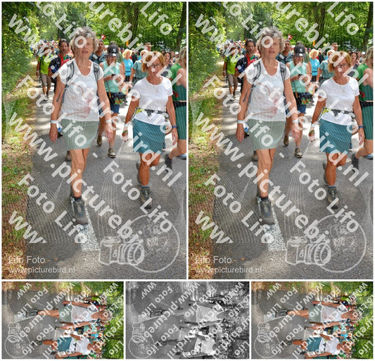 Evenement foto: Nijmeegse Vierdaagse 964