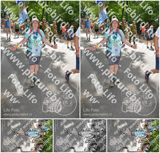 Evenement foto: Nijmeegse Vierdaagse 964
