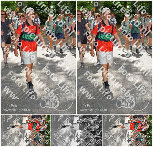 Evenement foto: Nijmeegse Vierdaagse 964