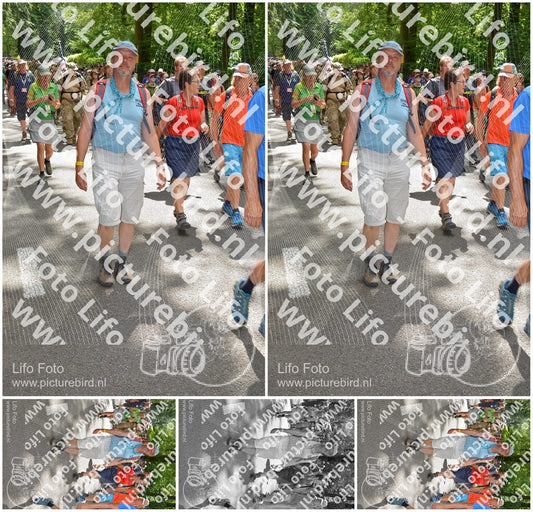 Evenement foto: Nijmeegse Vierdaagse 964
