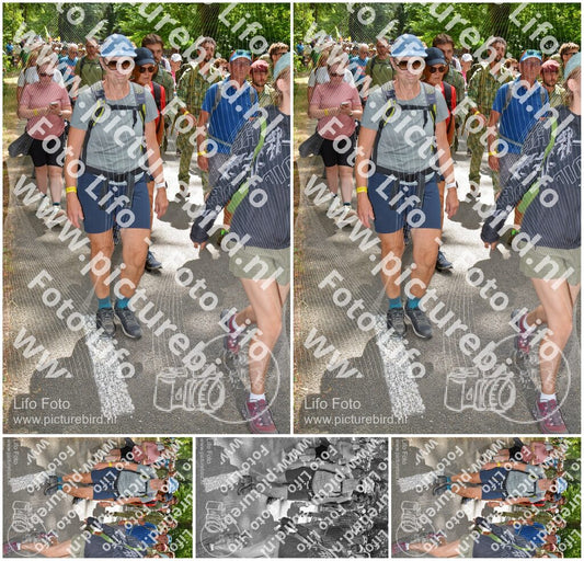 Evenement foto: Nijmeegse Vierdaagse 964