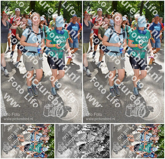 Evenement foto: Nijmeegse Vierdaagse 964