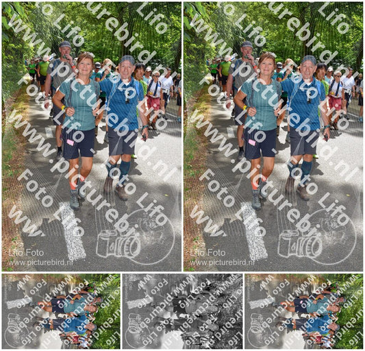Evenement foto: Nijmeegse Vierdaagse 964