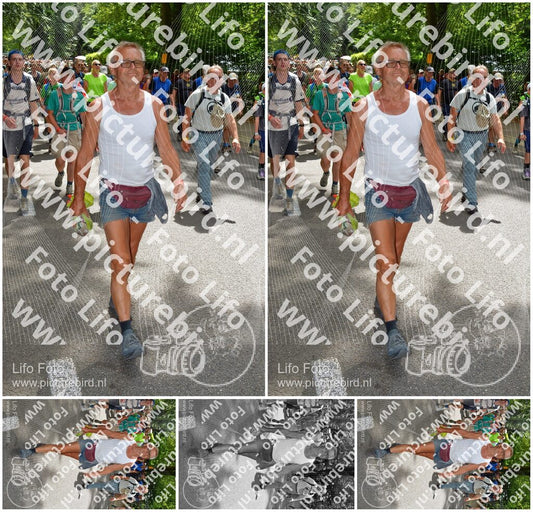 Evenement foto: Nijmeegse Vierdaagse 964
