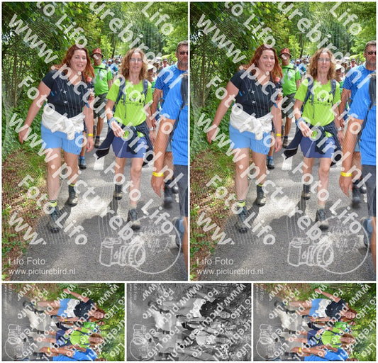 Evenement foto: Nijmeegse Vierdaagse 963