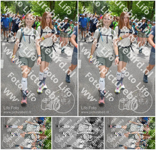 Evenement foto: Nijmeegse Vierdaagse 963