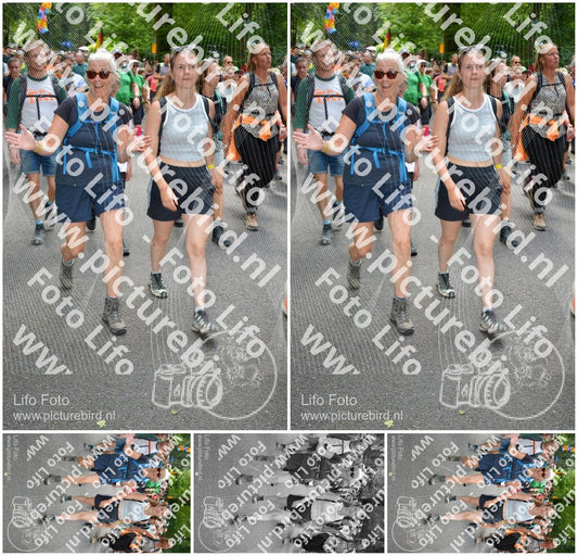 Evenement foto: Nijmeegse Vierdaagse 963