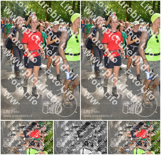 Evenement foto: Nijmeegse Vierdaagse 963