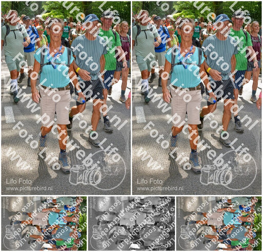 Evenement foto: Nijmeegse Vierdaagse 963