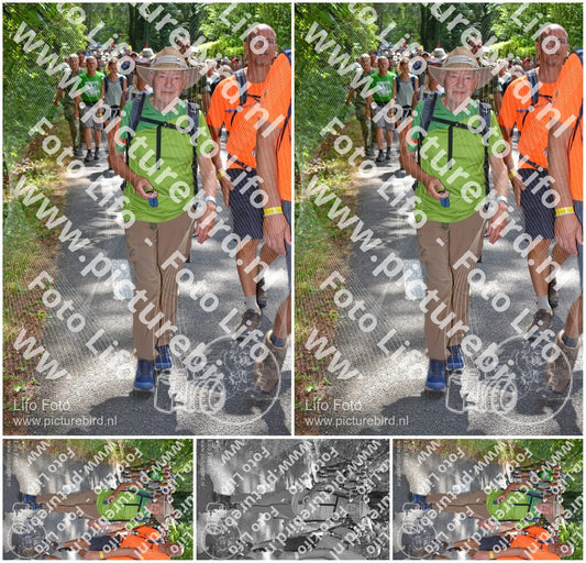 Evenement foto: Nijmeegse Vierdaagse 963