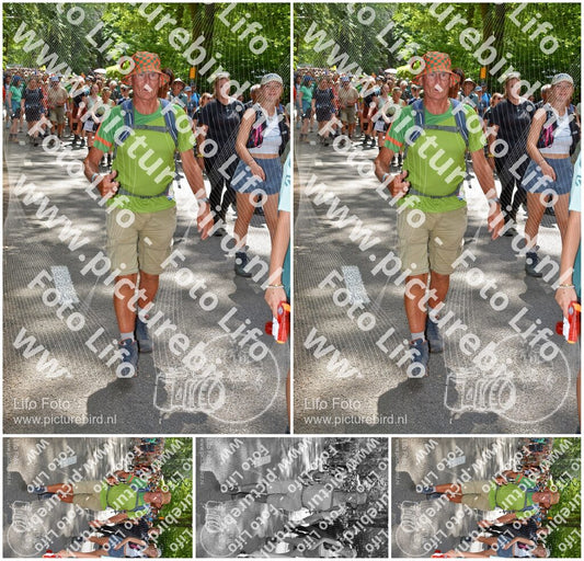 Evenement foto: Nijmeegse Vierdaagse 963