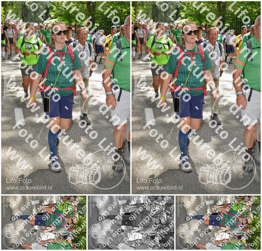 Evenement foto: Nijmeegse Vierdaagse 963