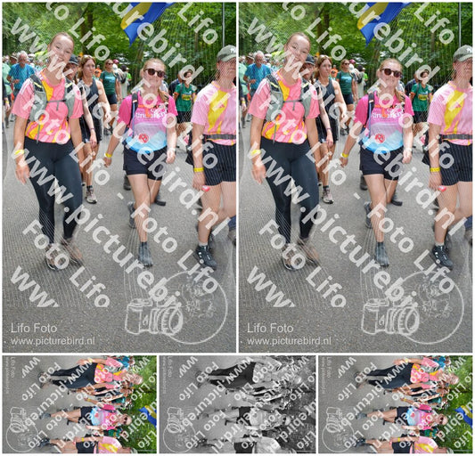 Evenement foto: Nijmeegse Vierdaagse 963