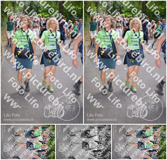 Evenement foto: Nijmeegse Vierdaagse 963
