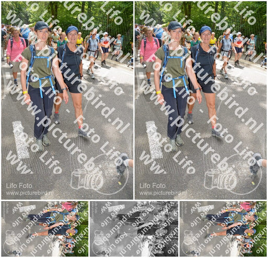 Evenement foto: Nijmeegse Vierdaagse 963