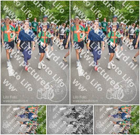 Evenement foto: Nijmeegse Vierdaagse 963