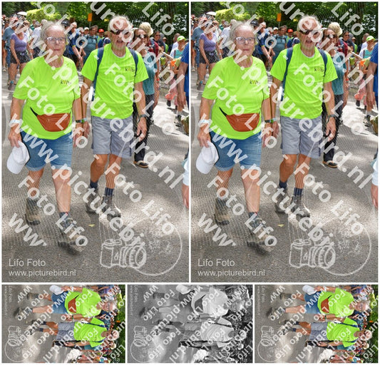 Evenement foto: Nijmeegse Vierdaagse 962