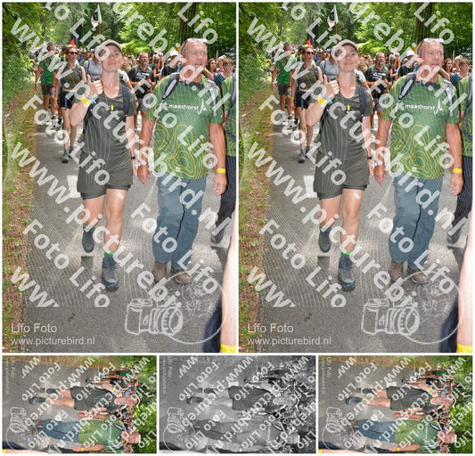 Evenement foto: Nijmeegse Vierdaagse 962