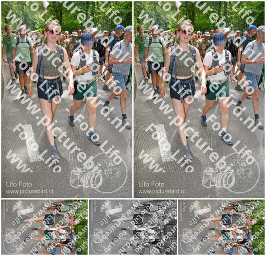Evenement foto: Nijmeegse Vierdaagse 962