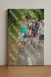 Evenement foto: Nijmeegse Vierdaagse 962