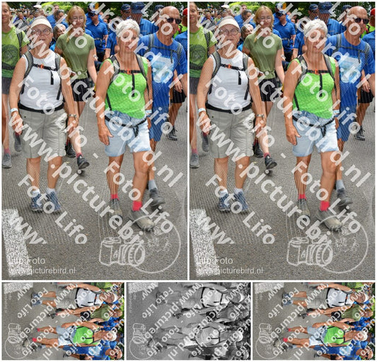 Evenement foto: Nijmeegse Vierdaagse 962