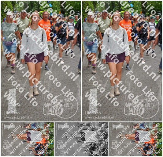 Evenement foto: Nijmeegse Vierdaagse 962