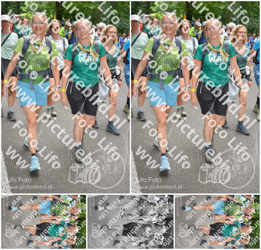 Evenement foto: Nijmeegse Vierdaagse 962