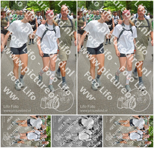 Evenement foto: Nijmeegse Vierdaagse 962